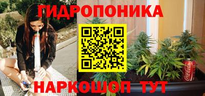 прущие грибы Кулебаки