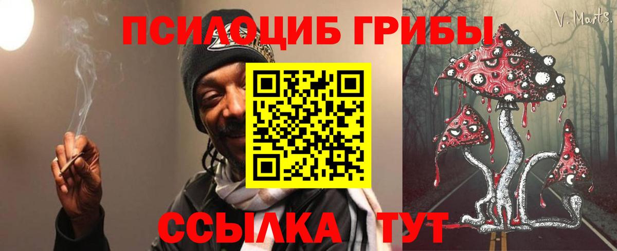 Йошкар-Ола  Псилоцибиновые грибы GOLDEN TEACHER  Вход с VPN 